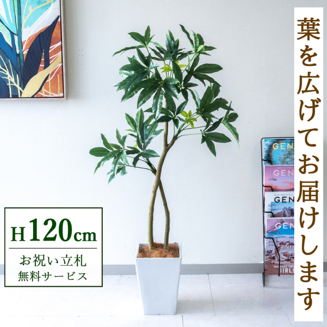【すぐ飾れる】 フェイクグリーン パキラ 120cm  鉢付き / 法人・開店祝い 店舗・オフィス装飾 空間演出 立札無料・造花/PG1001-Q20WH