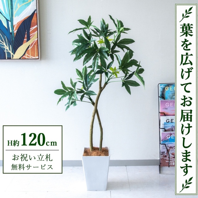 【すぐ飾れる】 フェイクグリーン パキラ H約120cm 鉢付き / 法人・開店祝い 店舗・オフィス装飾 空間演出 立札無料・造花/PG1001-Q20WH