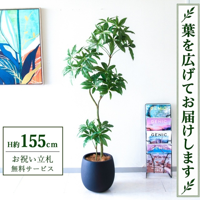 【すぐ飾れる】 フェイクグリーン パキラ H約155cm 鉢付き / 法人・開店祝い 店舗・オフィス装飾 空間演出 立札無料・造花/PG1002-BAL30BK