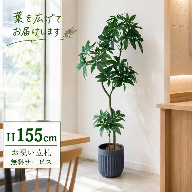 【すぐ飾れる】 フェイクグリーン パキラ 155cm  鉢付き / 法人・開店祝い 店舗・オフィス装飾 空間演出 立札無料・造花/PG1002-BPK25GY