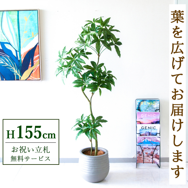【すぐ飾れる】 フェイクグリーン パキラ 155cm  鉢付き / 法人・開店祝い 店舗・オフィス装飾 空間演出 立札無料・造花/PG1002-J30
