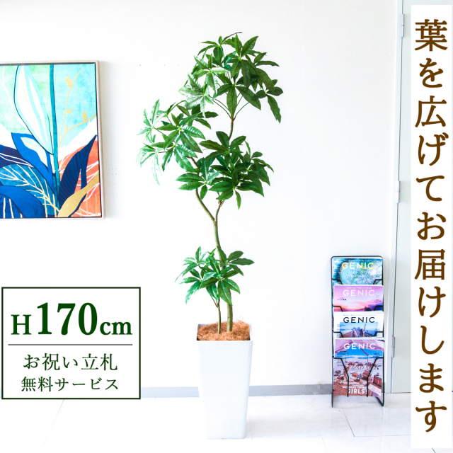 【すぐ飾れる】 フェイクグリーン パキラ 170cm  大型 鉢付き / 法人・開店祝い 店舗・オフィス装飾 空間演出 立札無料・造花/PG1002-Q25WH
