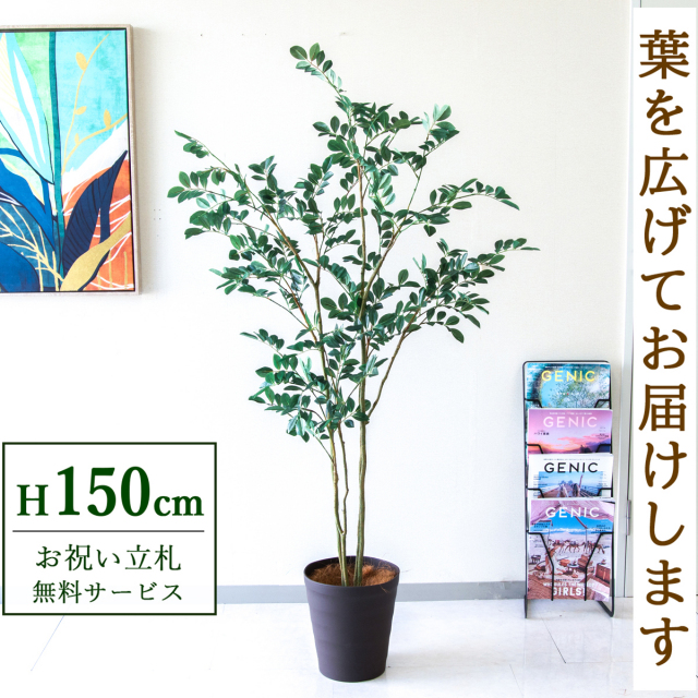 【すぐ飾れる】 フェイクグリーン フィカス ベンジャミン 150cm  鉢付き / 法人・開店祝い 店舗・オフィス装飾 空間演出 立札無料・造花/PG1004-B240BR