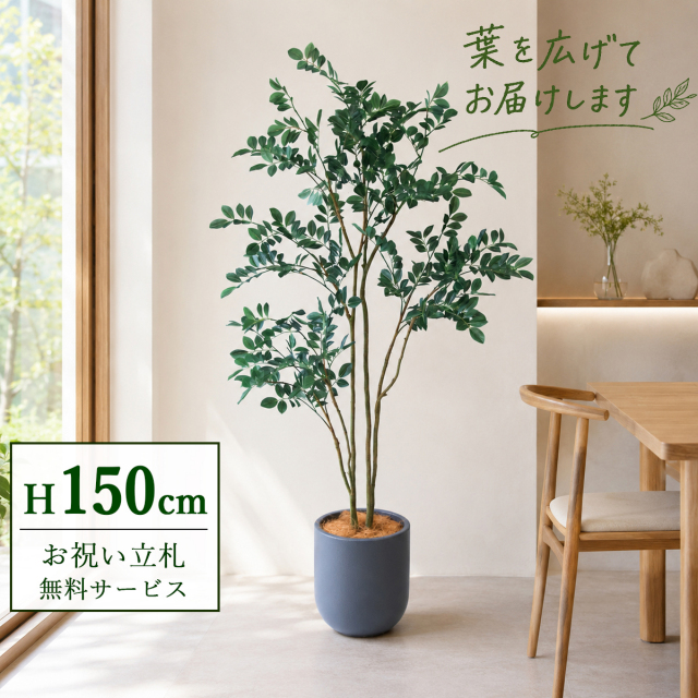 【すぐ飾れる】 フェイクグリーン フィカス ベンジャミン 150cm  鉢付き / 法人・開店祝い 店舗・オフィス装飾 空間演出 立札無料・造花/PG1004-CHC25GY