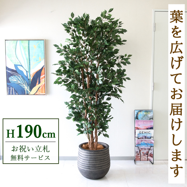 【すぐ飾れる】 フェイクグリーン フィカス ベンジャミン 190cm  大型 鉢付き / 法人・開店祝い 店舗・オフィス装飾 空間演出 立札無料・造花/PG1006-J40BK