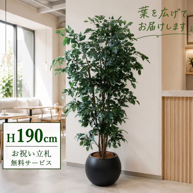 【すぐ飾れる】 フェイクグリーン フィカス ベンジャミン 190cm  大型 鉢付き / 法人・開店祝い 店舗・オフィス装飾 空間演出 立札無料・造花/PG1006-ROM43BK