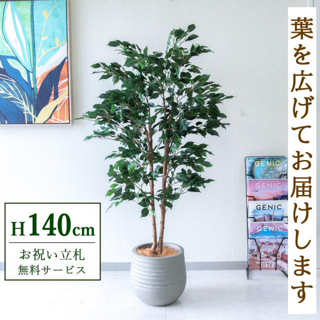 【すぐ飾れる】 フェイクグリーン フィカス ベンジャミン 145cm  鉢付き / 法人・開店祝い 店舗・オフィス装飾 空間演出 立札無料・造花/PG1008-J30