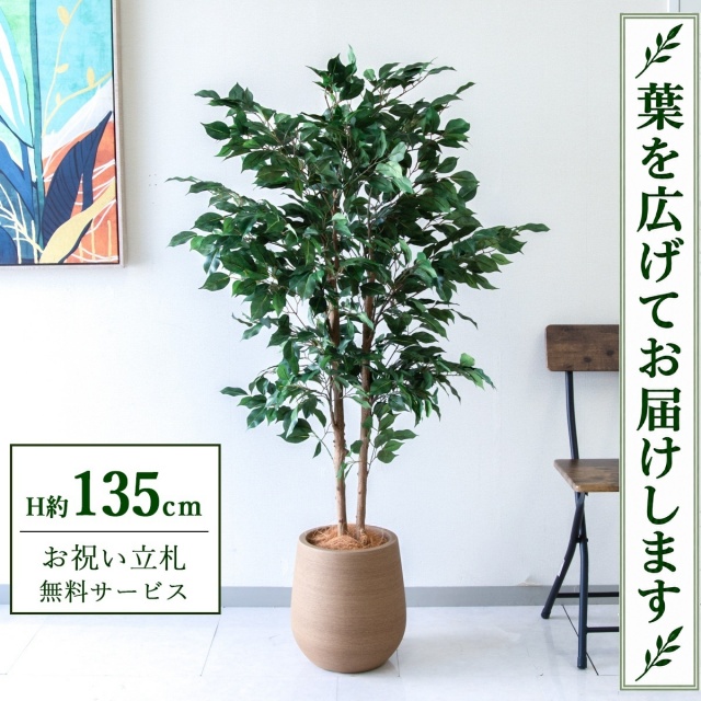 【すぐ飾れる】 フェイクグリーン フィカス ベンジャミン H約135cm 鉢付き / 法人・開店祝い 店舗・オフィス装飾 空間演出 立札無料・造花/PG1008-KAO27LB