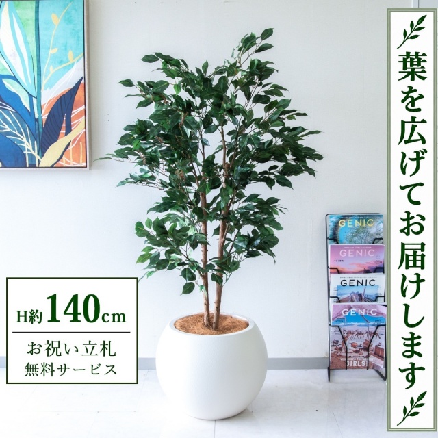 【すぐ飾れる】 フェイクグリーン フィカス ベンジャミン H約140cm 鉢付き / 法人・開店祝い 店舗・オフィス装飾 空間演出 立札無料・造花/PG1008-ROM43IV