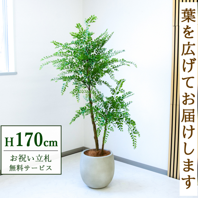 【すぐ飾れる】 フェイクグリーン トネリコ 170cm  大型 鉢付き / 法人・開店祝い 店舗・オフィス装飾 空間演出 立札無料・造花/PG1013-BAL35IV