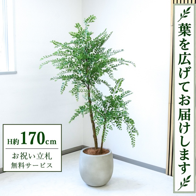 【すぐ飾れる】 フェイクグリーン トネリコ H約170cm 大型 鉢付き / 法人・開店祝い 店舗・オフィス装飾 空間演出 立札無料・造花/PG1013-BAL35IV