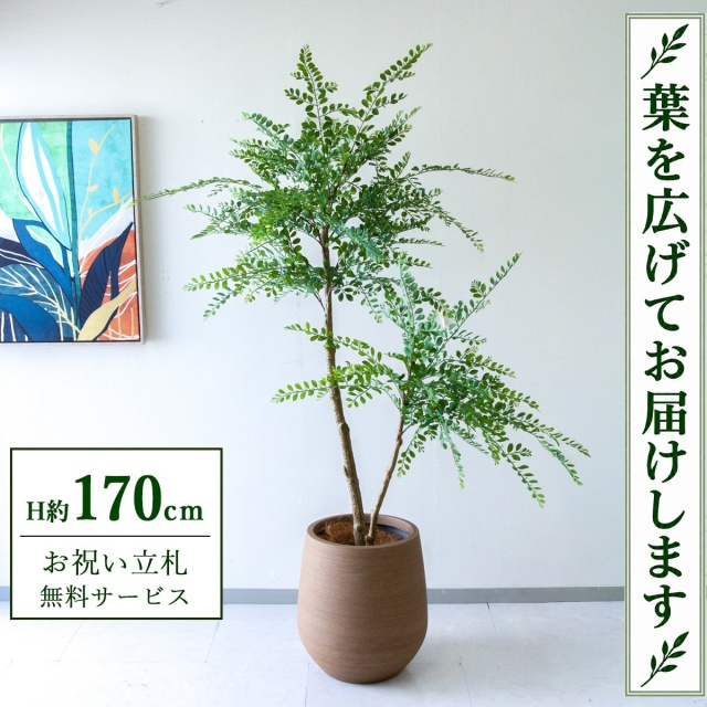【すぐ飾れる】 フェイクグリーン トネリコ H約170cm 大型 鉢付き / 法人・開店祝い 店舗・オフィス装飾 空間演出 立札無料・造花/PG1013-KAO38LB