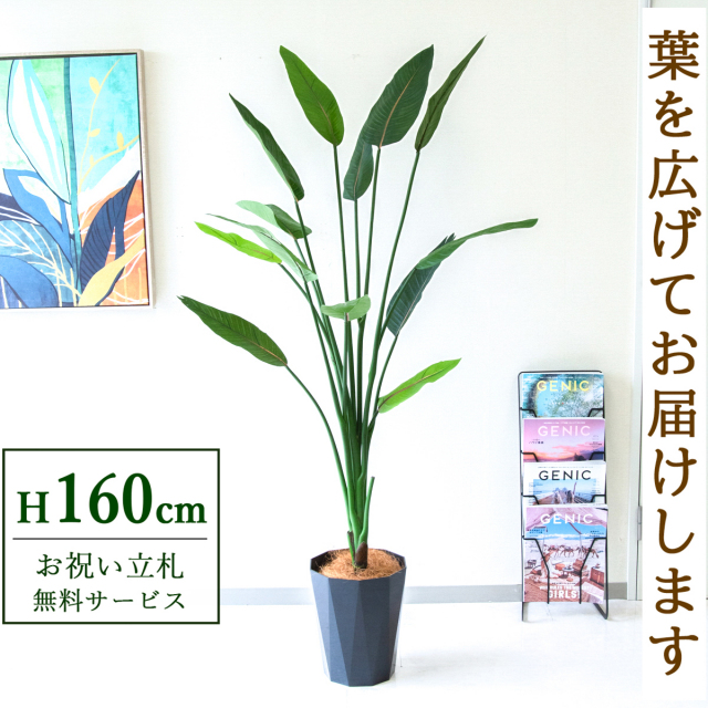 【すぐ飾れる】 フェイクグリーン ストレチア 160cm  鉢付き / 法人・開店祝い 店舗・オフィス装飾 空間演出 立札無料・造花/PG122-C240BK