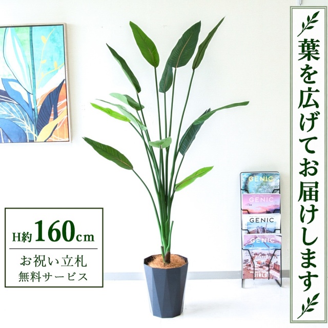 【すぐ飾れる】 フェイクグリーン ストレチア H約160cm 鉢付き / 法人・開店祝い 店舗・オフィス装飾 空間演出 立札無料・造花/PG122-C240BK