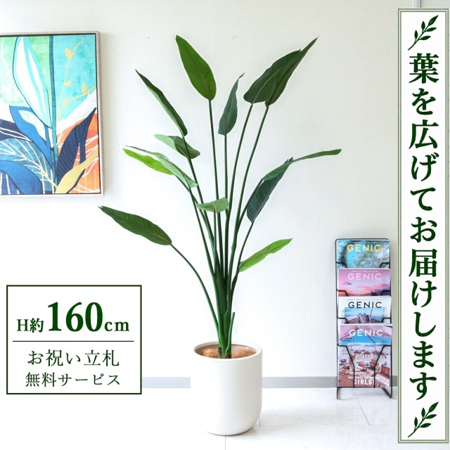 【すぐ飾れる】 フェイクグリーン ストレチア H約160cm 鉢付き / 法人・開店祝い 店舗・オフィス装飾 空間演出 立札無料・造花/PG122-CHC29IV