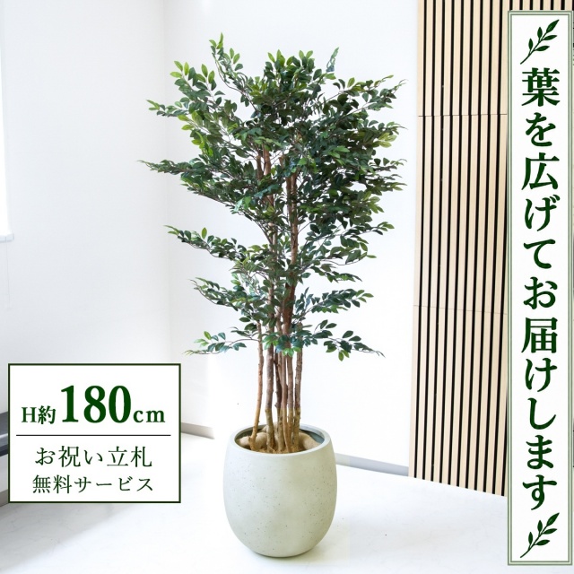 【すぐ飾れる】 フェイクグリーン トネリコツリー H約180cm 大型 鉢付き / 法人・開店祝い 店舗・オフィス装飾 空間演出 立札無料・造花/PG146-BAL42IV
