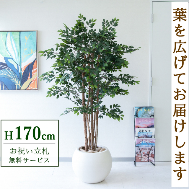 【すぐ飾れる】 フェイクグリーン トネリコツリー 170cm 大型 鉢付き / 法人・開店祝い 店舗・オフィス装飾 空間演出 立札無料・造花/PG146-ROM43IV