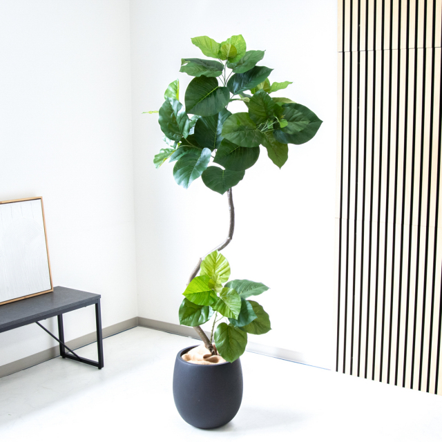 人工 観葉植物 フェイク グリーン ツイストウンベラータ H約160cm 店舗 