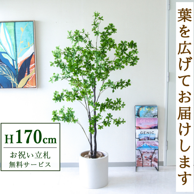 【すぐ飾れる】 フェイクグリーン ドウダンツツジ 170cm 大型 鉢付き / 法人・開店祝い 店舗・オフィス装飾 空間演出 立札無料・造花/PG158-H29