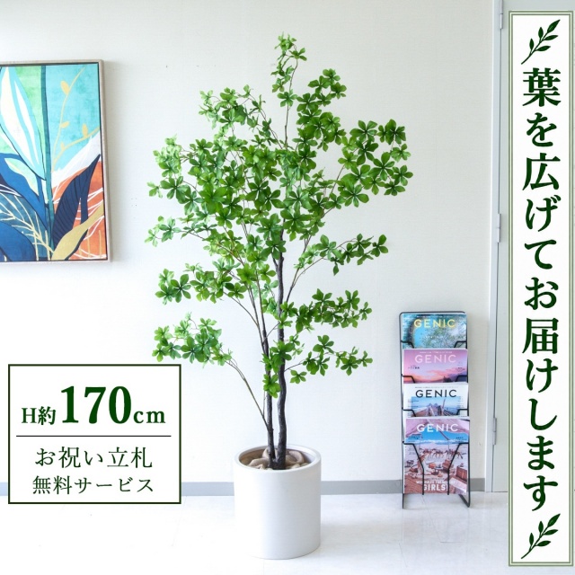 【すぐ飾れる】 フェイクグリーン ドウダンツツジ H約170cm 大型 鉢付き / 法人・開店祝い 店舗・オフィス装飾 空間演出 立札無料・造花/PG158-H29