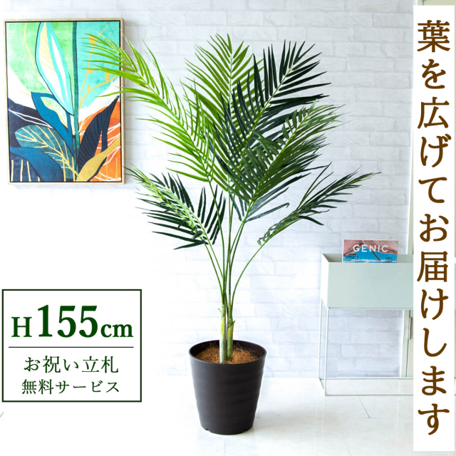 【すぐ飾れる】 フェイクグリーン アレカパーム 155cm 鉢付き / 法人・開店祝い 店舗・オフィス装飾 空間演出 立札無料・造花/PG165-M30DB