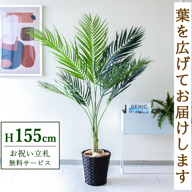 【すぐ飾れる】 フェイクグリーン アレカパーム 155cm 鉢付き / 法人・開店祝い 店舗・オフィス装飾 空間演出 立札無料・造花/PG165-MEL26DB