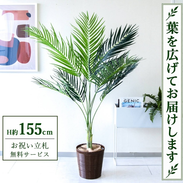 【すぐ飾れる】 フェイクグリーン アレカパーム H約155cm 鉢付き / 法人・開店祝い 店舗・オフィス装飾 空間演出 立札無料・造花/PG165-SYD26DB