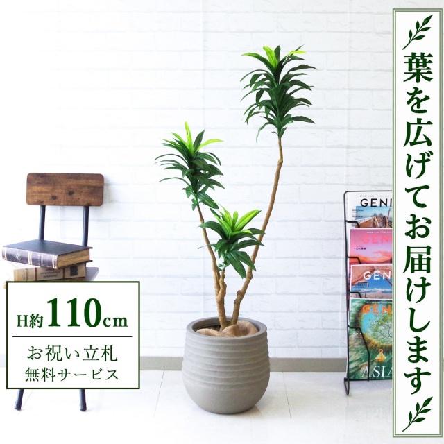 【すぐ飾れる】 フェイクグリーン ドラセナ H約110cm 鉢付き / 法人・開店祝い 店舗・オフィス装飾 空間演出 立札無料・造花/PG167-J30