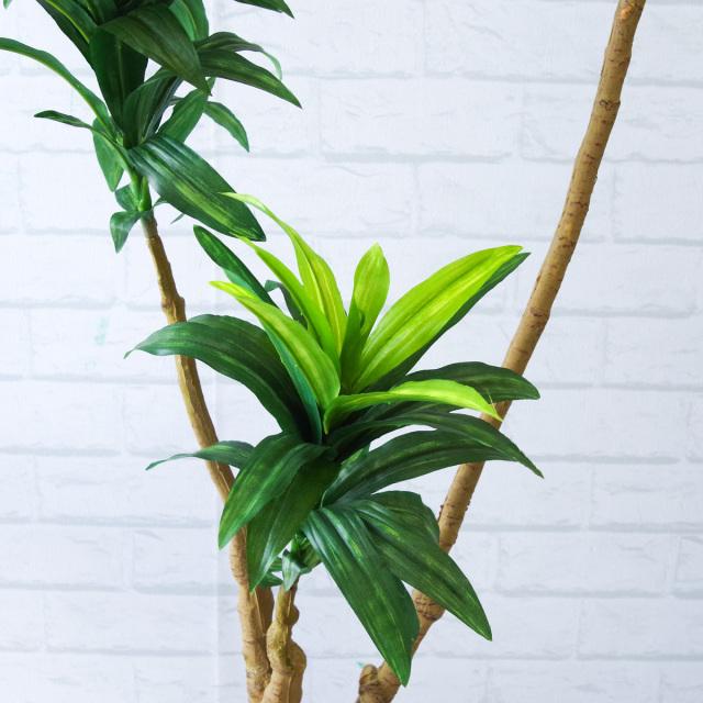 人工 観葉植物 フェイク グリーン ドラセナコンパクタ H約110cm 店舗