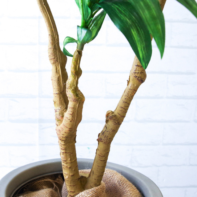 人工 観葉植物 フェイク グリーン ドラセナコンパクタ H約110cm 店舗