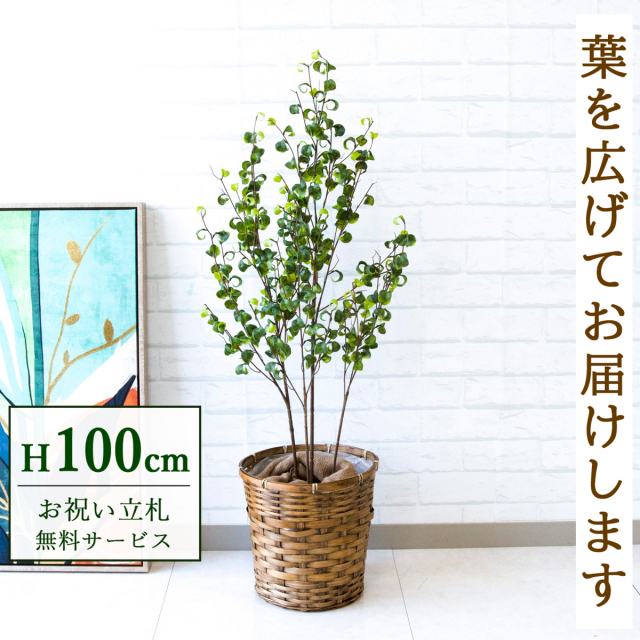【すぐ飾れる】 フェイクグリーン フィカス ベンジャミン 100cm 鉢付き / 法人・開店祝い 店舗・オフィス装飾 空間演出 立札無料・造花/PG169-S24