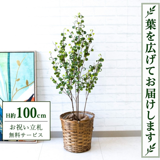 【すぐ飾れる】 フェイクグリーン フィカス ベンジャミン H約100cm 鉢付き / 法人・開店祝い 店舗・オフィス装飾 空間演出 立札無料・造花/PG169-S24
