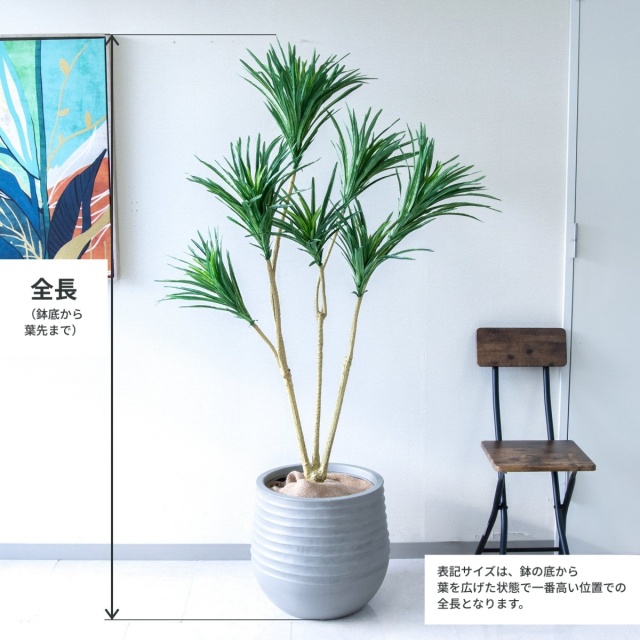 人工 観葉植物 フェイク グリーン ドラセナコンシネ H約155cm 店舗