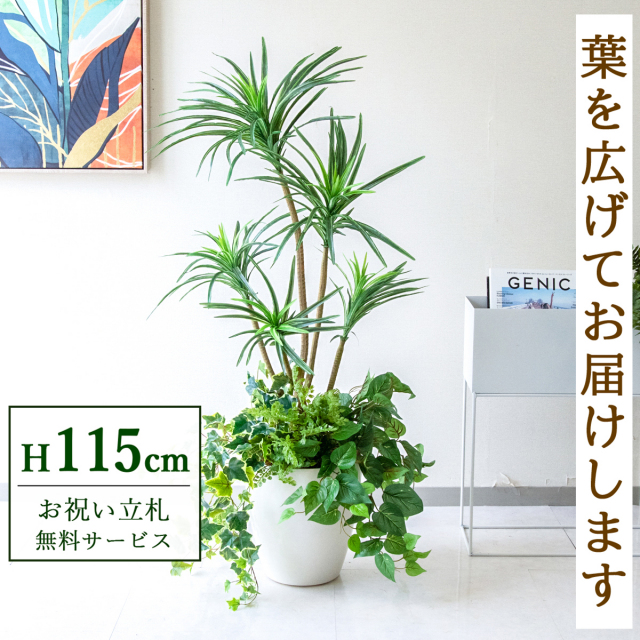 【すぐ飾れる】 フェイクグリーン ユッカ 115cm 鉢付き / 法人・開店祝い 店舗・オフィス装飾 空間演出 立札無料・造花/PG198-A265WH-UG1