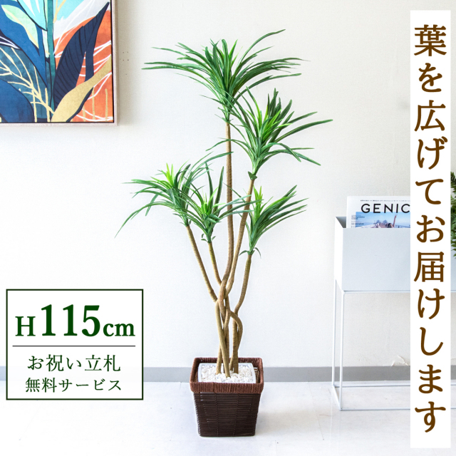 【すぐ飾れる】 フェイクグリーン ユッカ 115cm 鉢付き / 法人・開店祝い 店舗・オフィス装飾 空間演出 立札無料・造花/PG198-KCS21BR