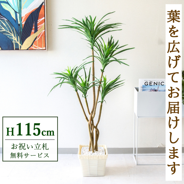 【すぐ飾れる】 フェイクグリーン ユッカ 115cm 鉢付き / 法人・開店祝い 店舗・オフィス装飾 空間演出 立札無料・造花/PG198-KCS21WH
