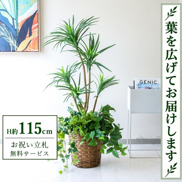 【すぐ飾れる】 フェイクグリーン ユッカ H約115cm 鉢付き / 法人・開店祝い 店舗・オフィス装飾 空間演出 立札無料・造花/PG198-S28-UG1