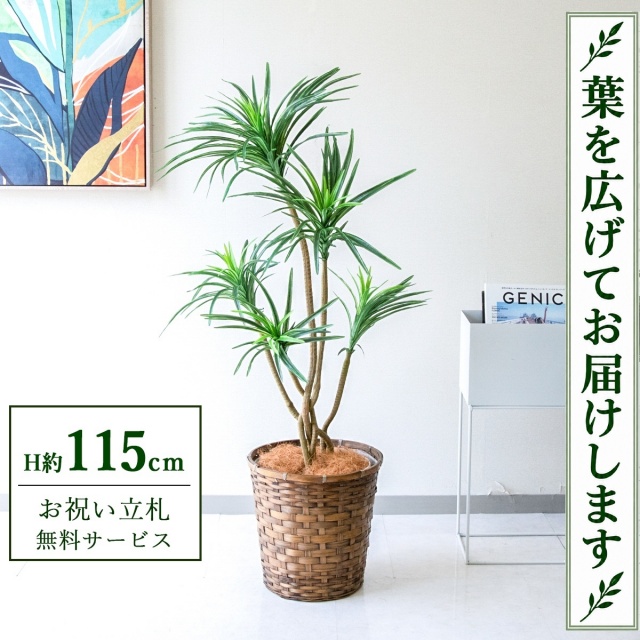 【すぐ飾れる】 フェイクグリーン ユッカ H約115cm 鉢付き / 法人・開店祝い 店舗・オフィス装飾 空間演出 立札無料・造花/PG198-S28