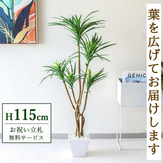 【すぐ飾れる】 フェイクグリーン ユッカ 115cm 鉢付き / 法人・開店祝い 店舗・オフィス装飾 空間演出 立札無料・造花/PG198