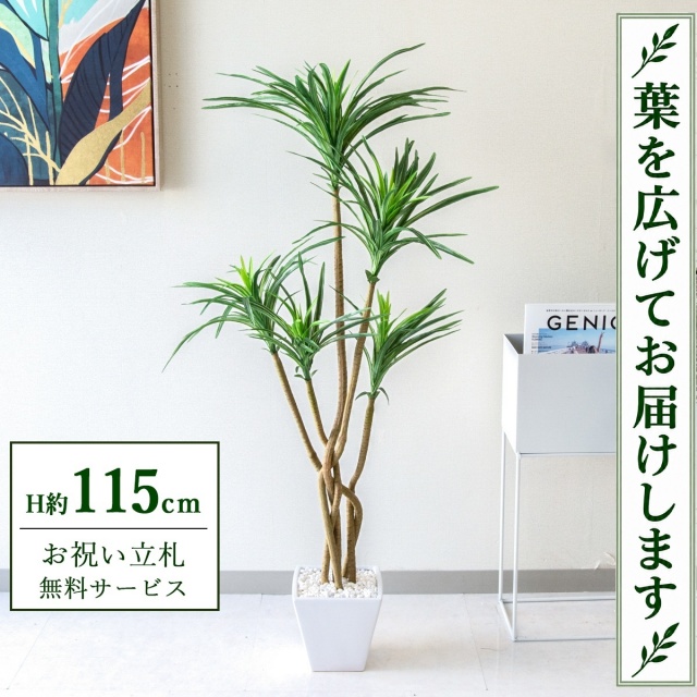 【すぐ飾れる】 フェイクグリーン ユッカ H約115cm 鉢付き / 法人・開店祝い 店舗・オフィス装飾 空間演出 立札無料・造花/PG198