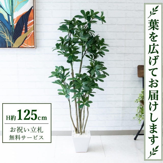 【すぐ飾れる】 フェイクグリーン シェフレラ カポック H約125cm 鉢付き / 法人・開店祝い 店舗・オフィス装飾 空間演出 立札無料・造花/PG204