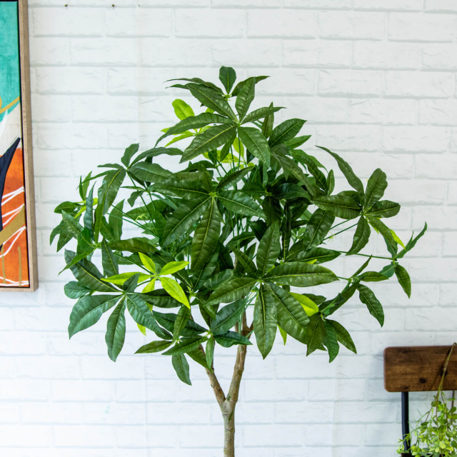 人工 観葉植物 フェイク グリーン パキラ H約145cm 店舗 装飾 開店 人工 観葉植物 フェイク グリーン パキラ H約145cm 店舗 装飾 開店