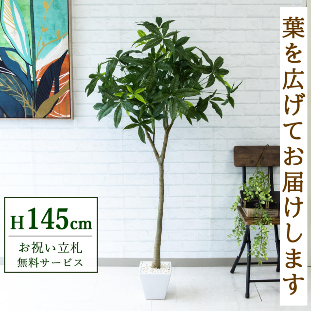 【すぐ飾れる】 フェイクグリーン パキラ 145cm 鉢付き / 法人・開店祝い 店舗・オフィス装飾 空間演出 立札無料・造花/PG205