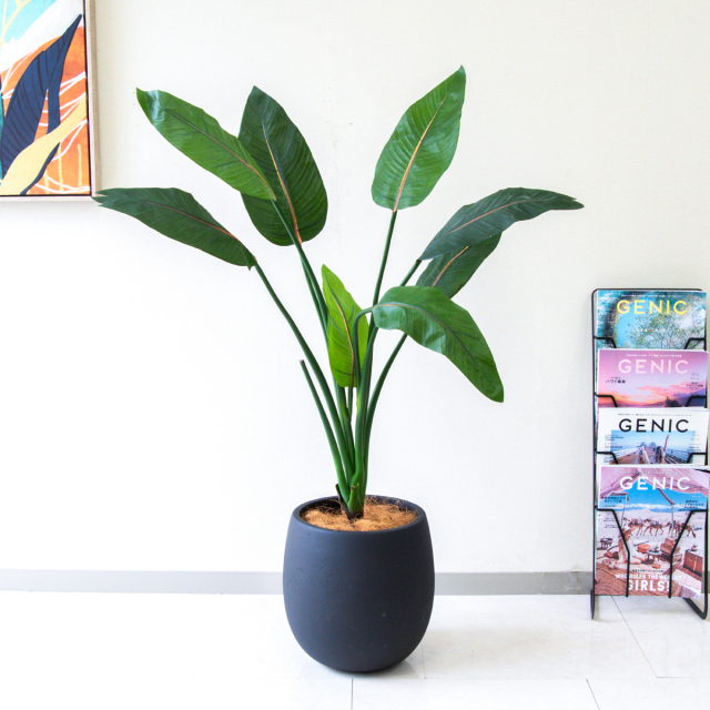 人工 観葉植物 フェイク グリーン ストレチア H約120cm 店舗 装飾 開店