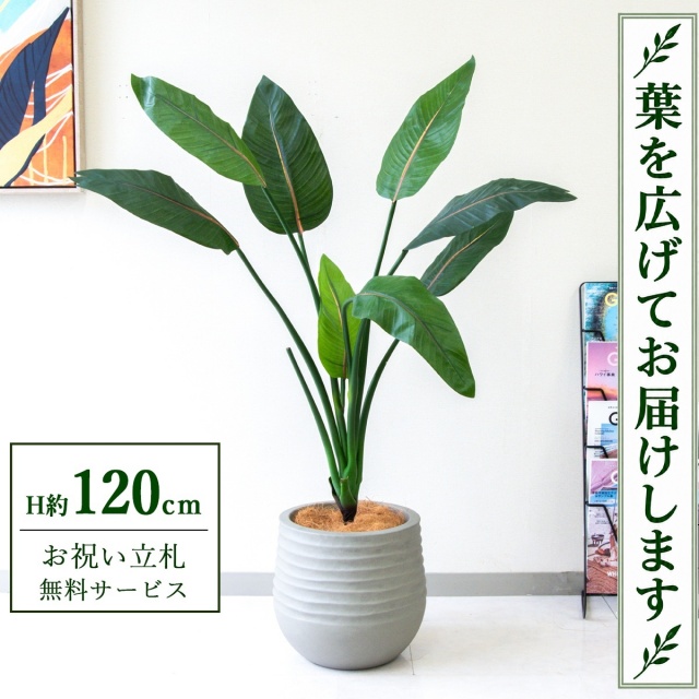 【すぐ飾れる】 フェイクグリーン ストレチア H約120cm 鉢付き / 法人・開店祝い 店舗・オフィス装飾 空間演出 立札無料・造花/PG207-J30