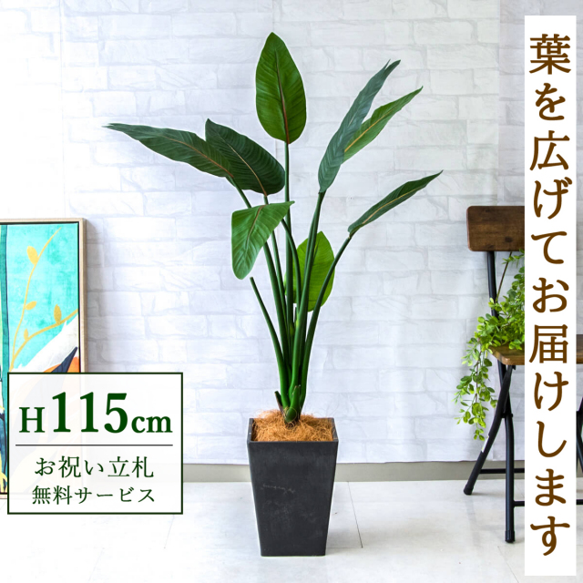 【すぐ飾れる】 フェイクグリーン ストレチア 115cm  鉢付き / 法人・開店祝い 店舗・オフィス装飾 空間演出 立札無料・造花/PG207-Q20BK