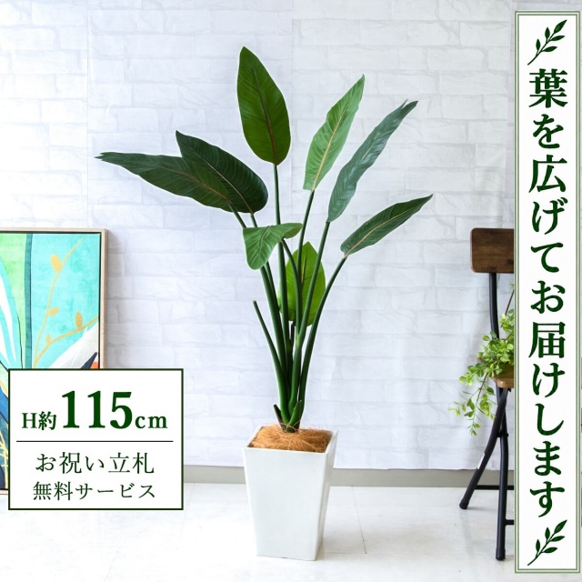 【すぐ飾れる】 フェイクグリーン ストレチア H約115cm 鉢付き / 法人・開店祝い 店舗・オフィス装飾 空間演出 立札無料・造花/PG207-Q20WH