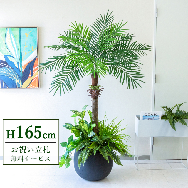 【すぐ飾れる】 フェイクグリーン フェニックス パームツリー ヤシの木 165cm 2分割 鉢付き / 法人・開店祝い 店舗・オフィス装飾 空間演出 立札無料・造花/PG212-D42BK-UG6