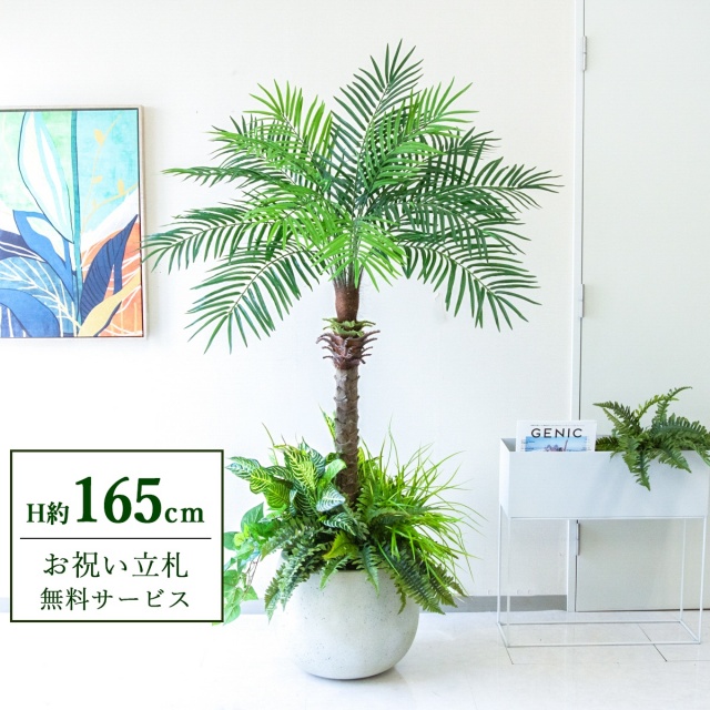 【すぐ飾れる】 フェイクグリーン フェニックス パームツリー ヤシの木 H約165cm 2分割 鉢付き / 法人・開店祝い 店舗・オフィス装飾 空間演出 立札無料・造花/PG212-D42IV-UG6