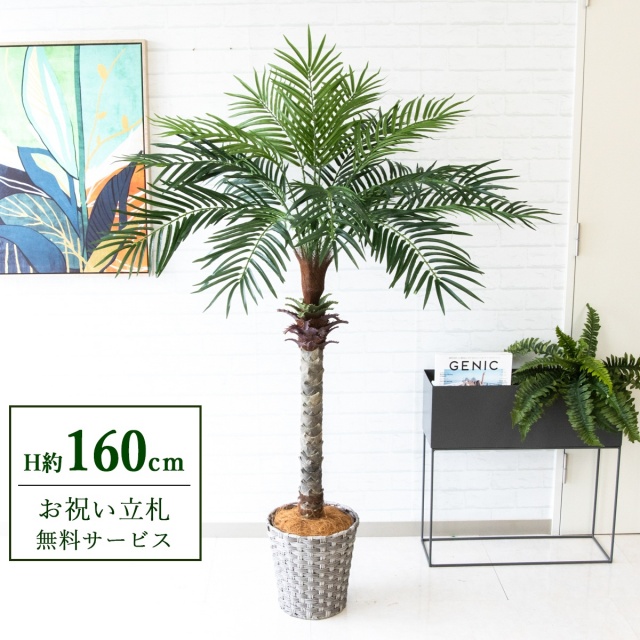 【すぐ飾れる】 フェイクグリーン フェニックス パームツリー ヤシの木 H約160cm 2分割 鉢付き / 法人・開店祝い 店舗・オフィス装飾 空間演出 立札無料・造花/PG212-MEL26GY